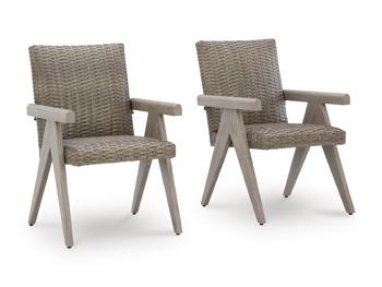 Cliff Trails Outdoor Arm Chair (Set of 2) image