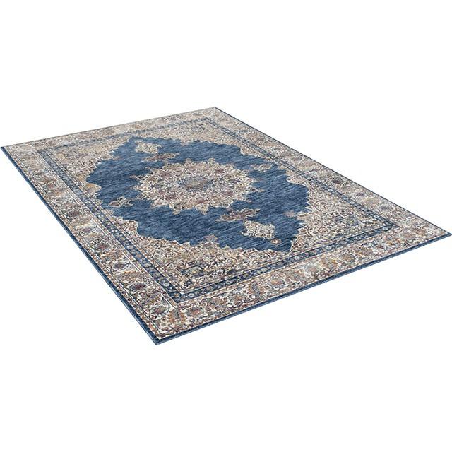 Payas Blue/Multi 5' X 7' Area Rug