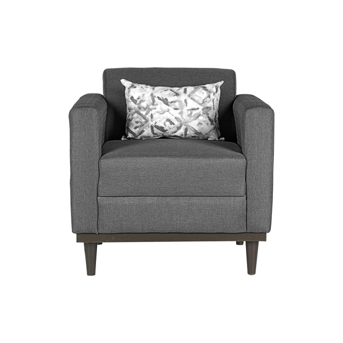 AIDEN CHAIR W/1 THROW PILLOW-SILVER GRAY